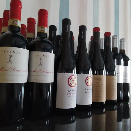 호텔 Butterfly & Younique 3*