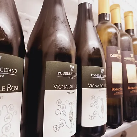 ホテル Butterfly & Younique 3*