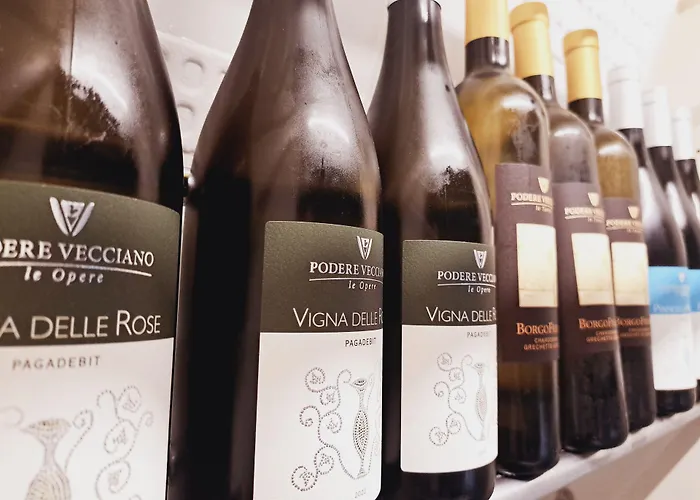 Szálloda Butterfly & Younique 3*